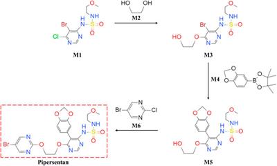 Pipersentan: A De Novo Synthetic Endothelin Receptor Antagonist that Inhibits Monocrotaline- and Hypoxia-Induced Pulmonary Hypertension